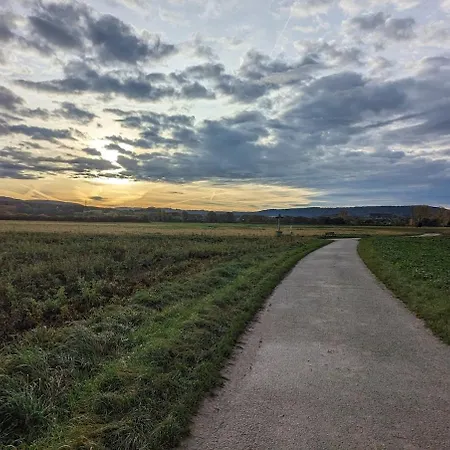 Wiesentblick *